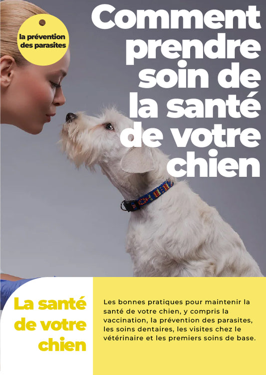 Comment prendre soin de la santé de votre chien