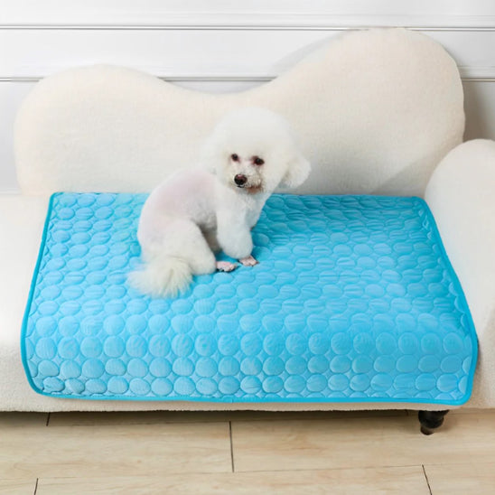 Couverture rafraichissante pour chien